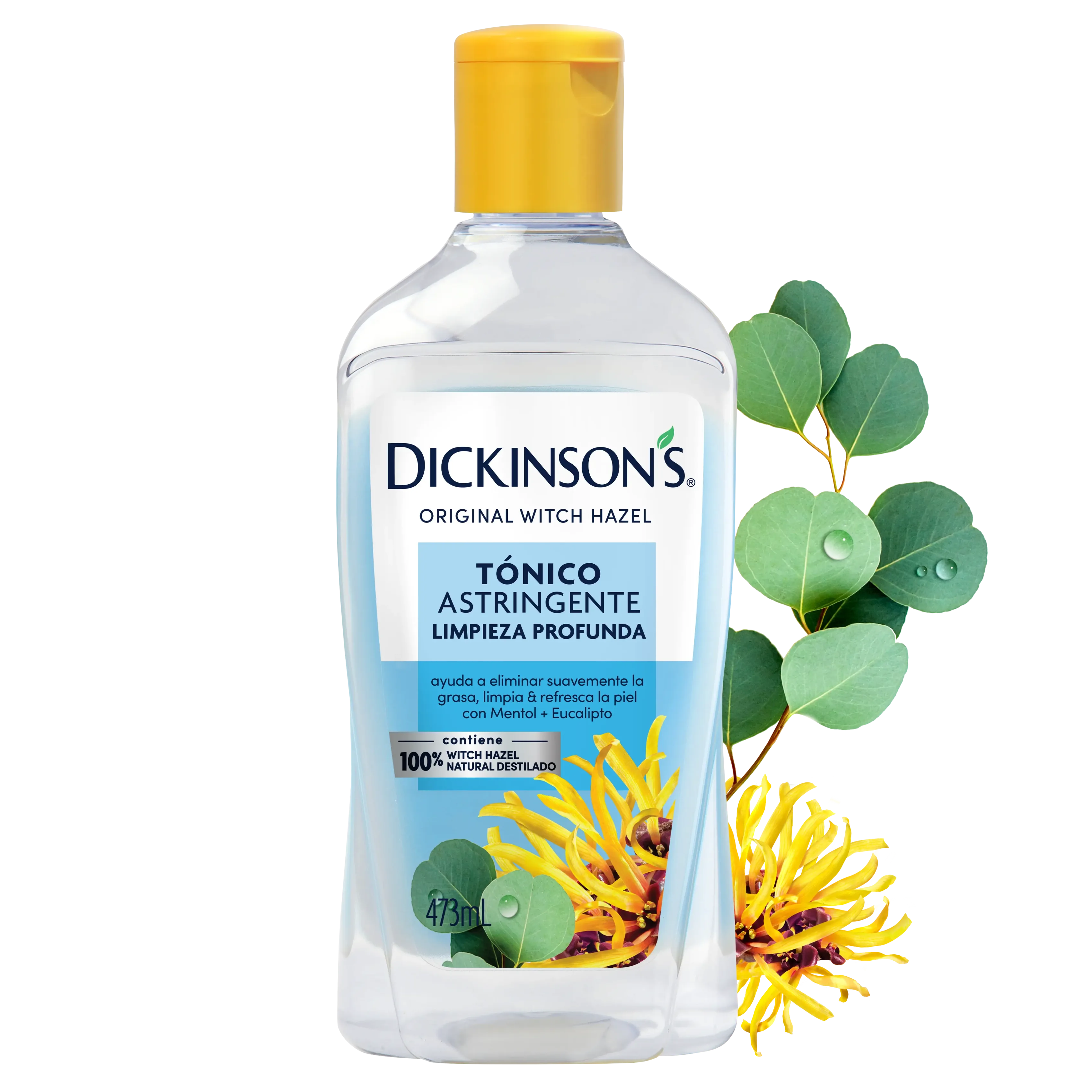 Dickinsons deep cleansing astringent 16oz - front