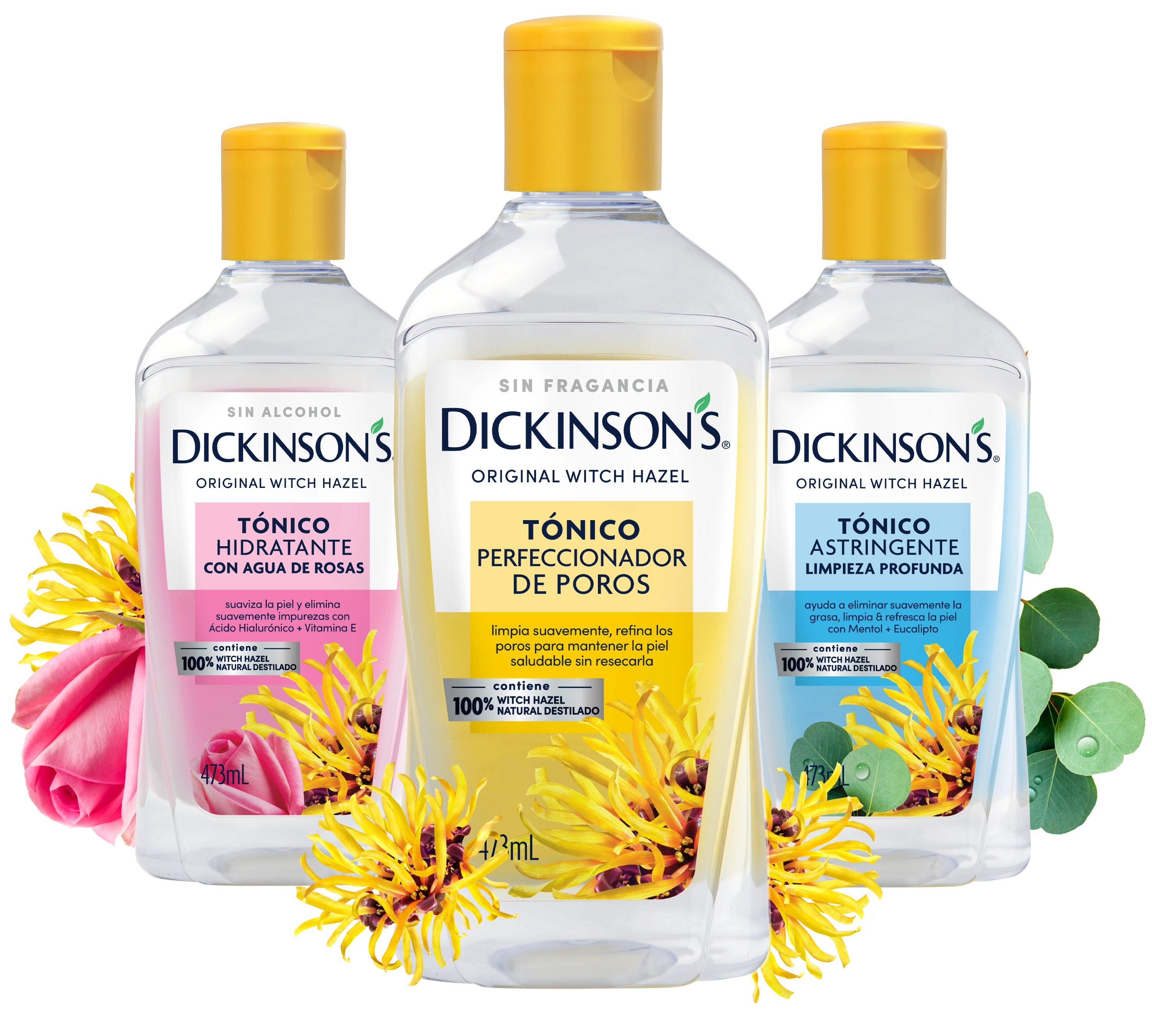 Dickinson’s assortment of toners